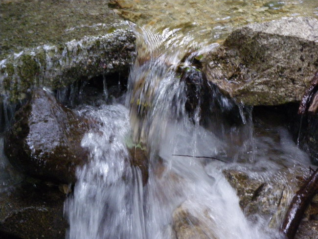 c0035931_2223019.jpg