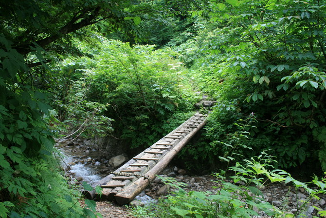 c0035931_2230666.jpg