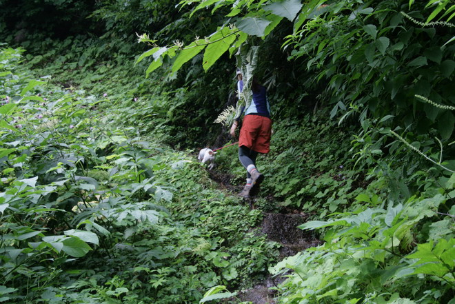 c0035931_22315571.jpg