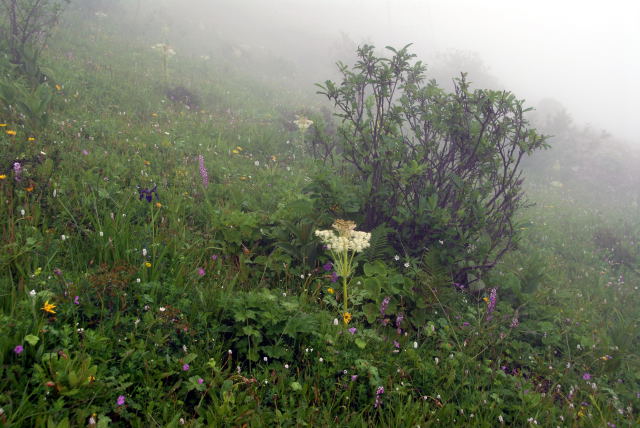 d0091834_19265696.jpg