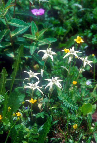d0091834_1928241.jpg