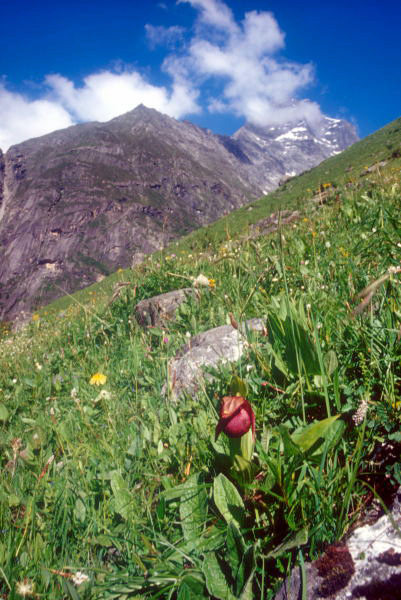 d0091834_19312970.jpg