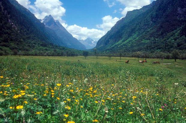 d0091834_19314077.jpg