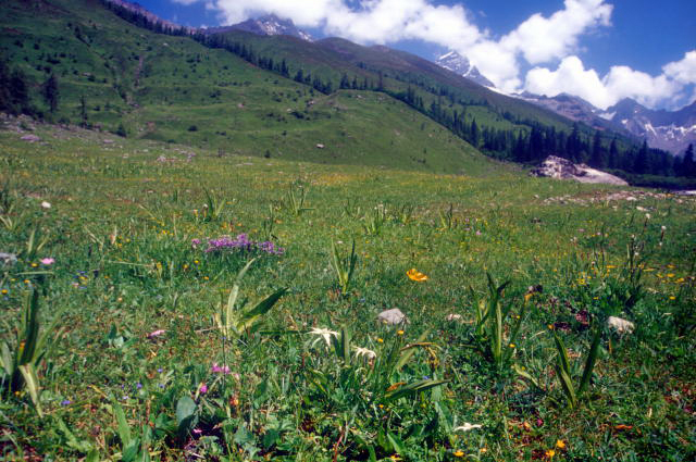 d0091834_19315051.jpg