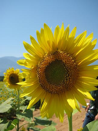 f0161834_1013740.jpg