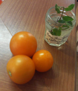 f0204440_328235.jpg