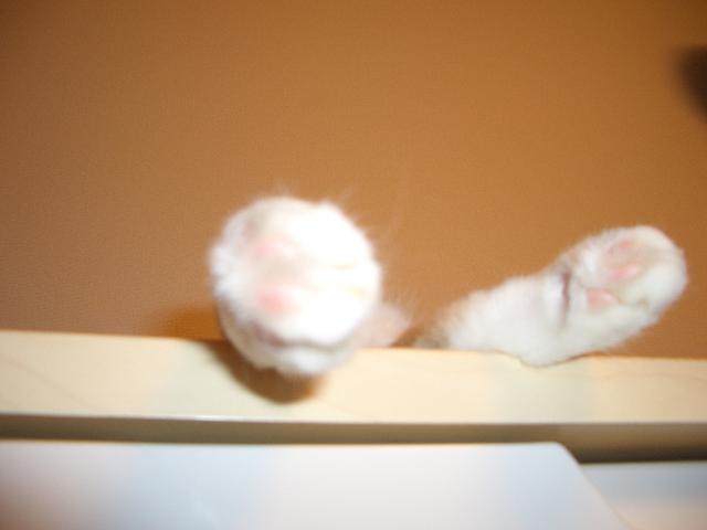a0130149_1341624.jpg