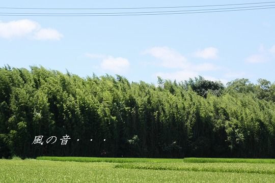 e0156649_20523516.jpg