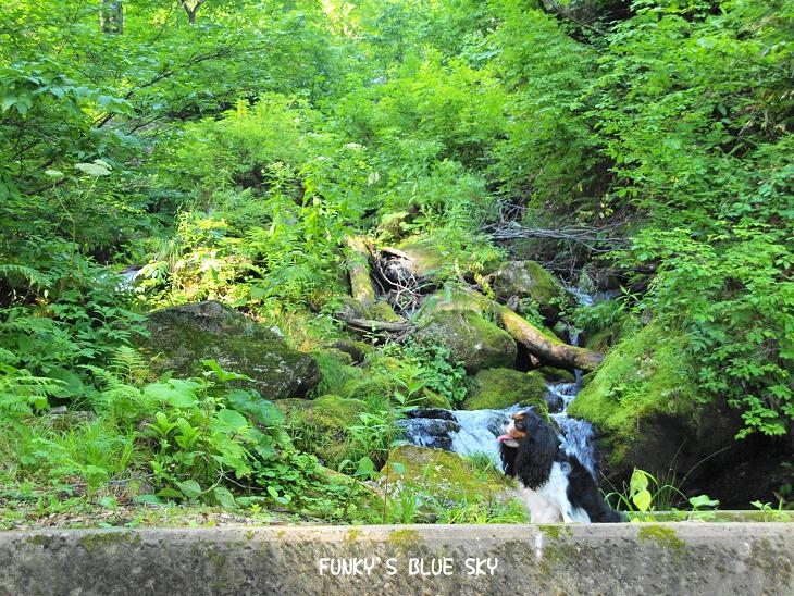 c0145250_10501469.jpg