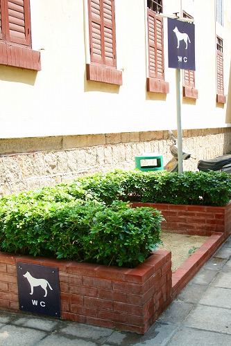 a0102153_16104277.jpg