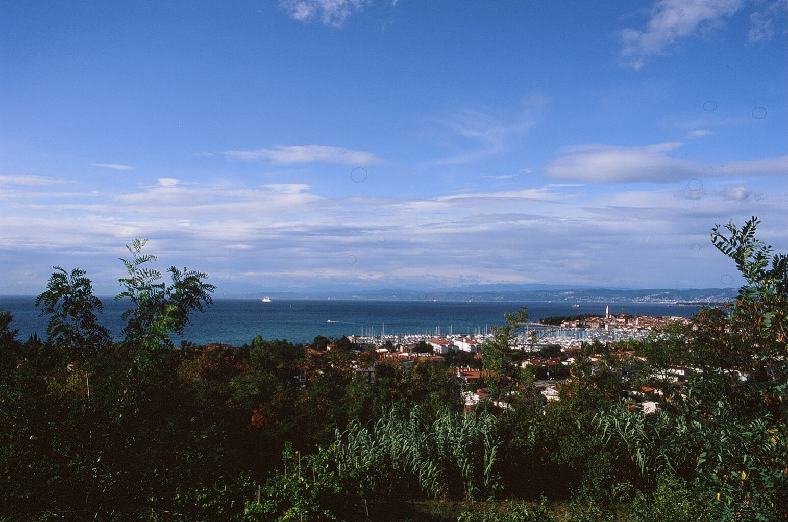 e0134658_38512.jpg