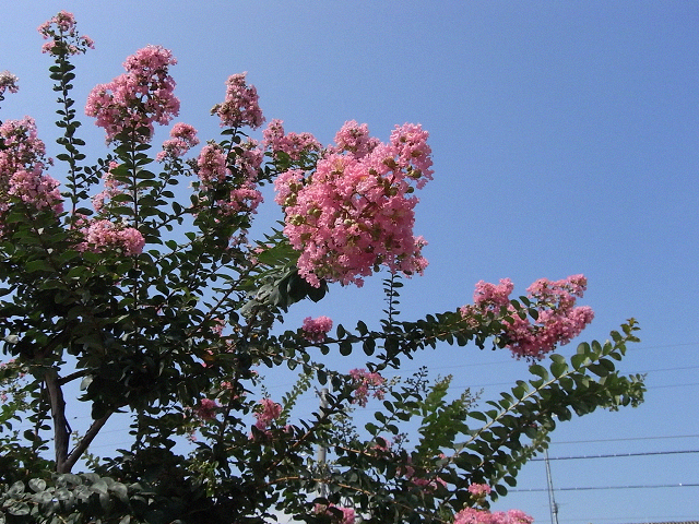 c0158464_065672.jpg
