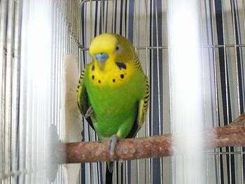 f0196665_0233212.jpg