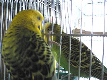 f0196665_0395927.jpg