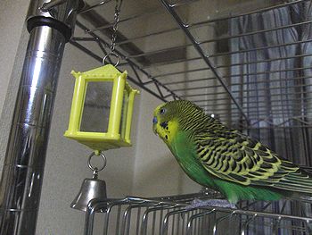 f0196665_06975.jpg