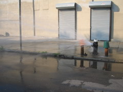 c0176870_11565284.jpg
