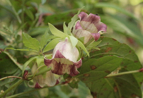 f0181173_823405.jpg