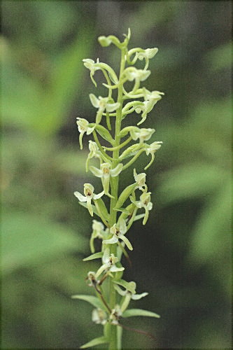 f0181173_943862.jpg