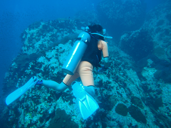 d0041074_1917454.jpg