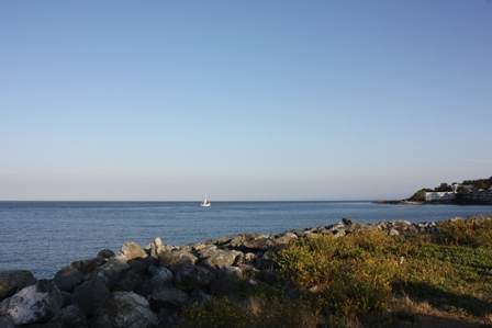 a0100975_123124.jpg