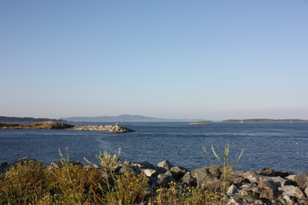 a0100975_1232784.jpg