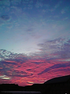 b0117375_23205073.jpg