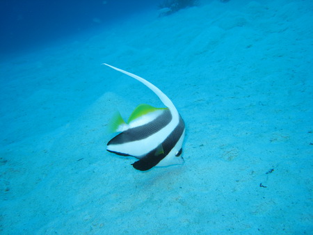 a0002177_17321531.jpg