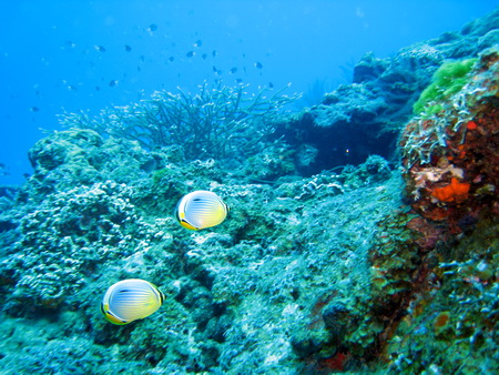a0002177_17462466.jpg