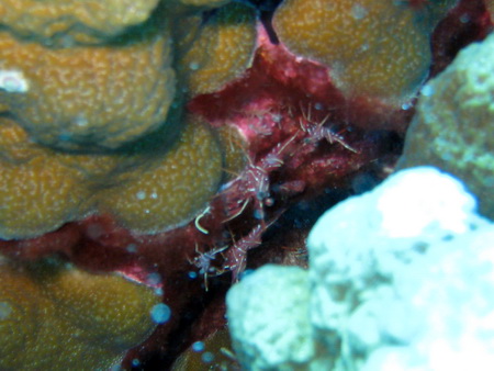 a0002177_17512824.jpg