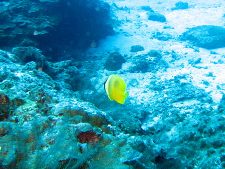 a0002177_21284936.jpg
