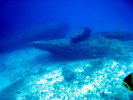 a0002177_21393415.jpg