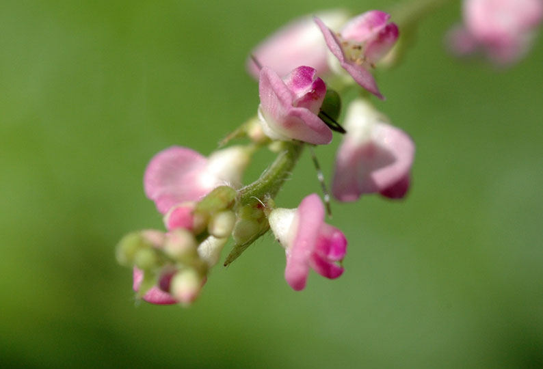 b0057679_8522916.jpg