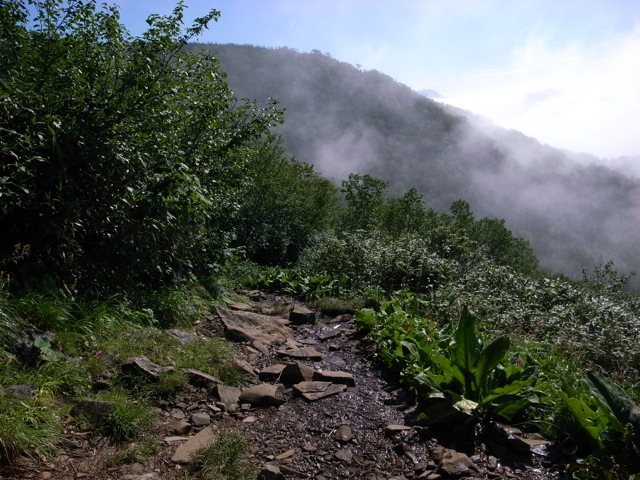 e0129083_19554663.jpg