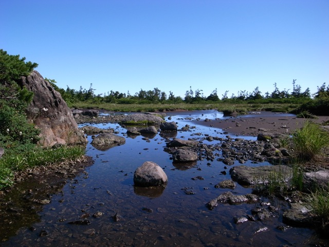e0129083_203202.jpg