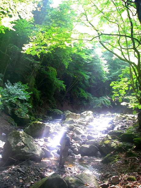 c0136486_12321185.jpg