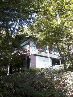 c0073987_2173935.jpg