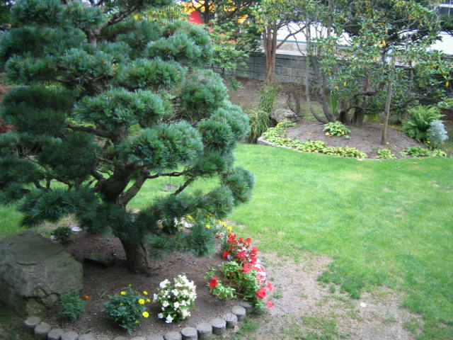 e0017290_14361077.jpg