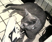 e0115693_1810198.jpg