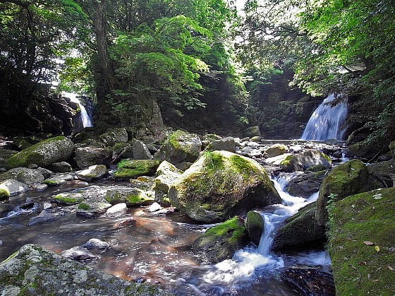 e0176993_1532427.jpg