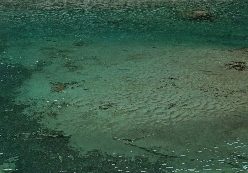 c0095801_21133099.jpg