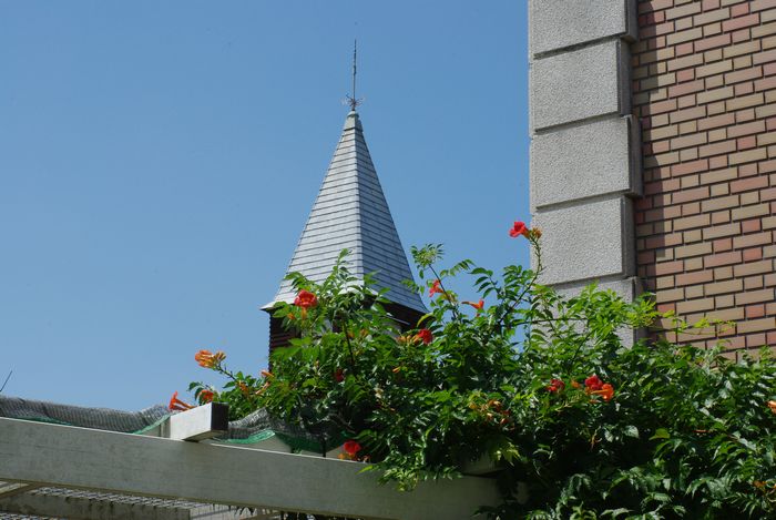 c0187503_22134110.jpg