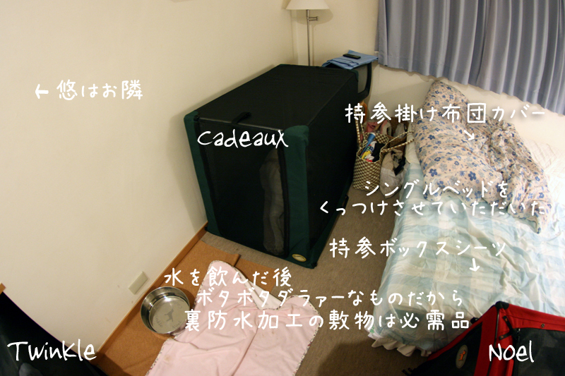 c0089005_10503167.jpg