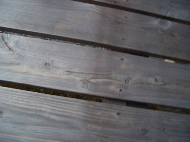 e0128909_14292449.jpg