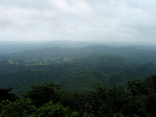e0066210_2155298.jpg