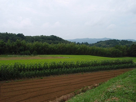 e0066210_2335872.jpg