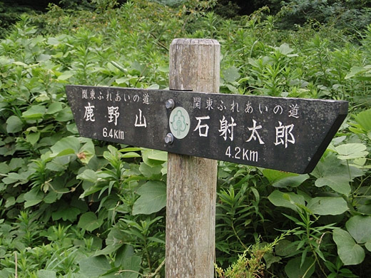 e0066210_2337647.jpg