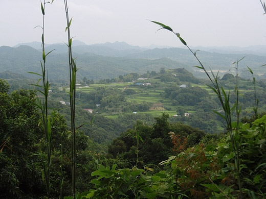 e0066210_23381178.jpg