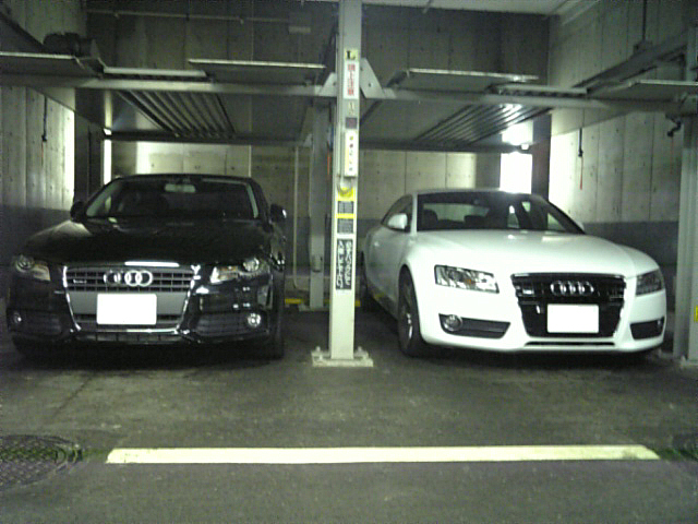 f0098210_2053875.jpg
