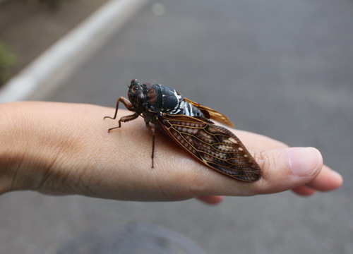 c0101713_10572890.jpg
