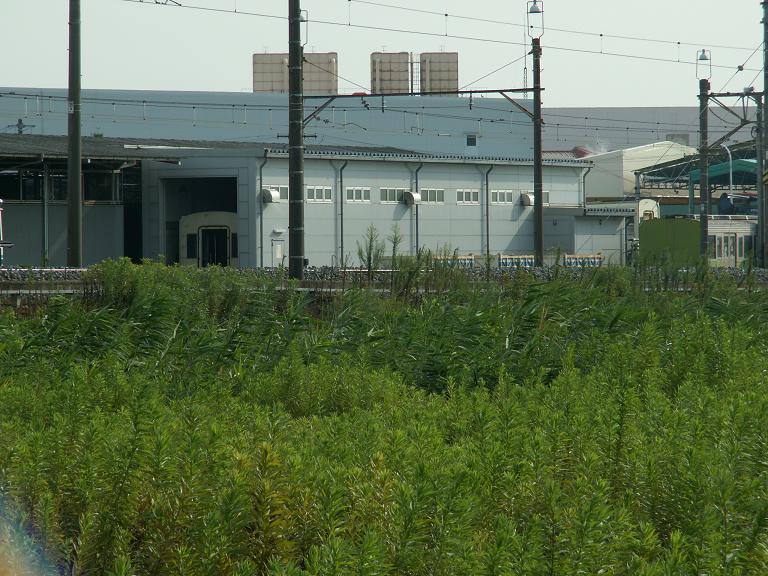 e0039316_17355260.jpg